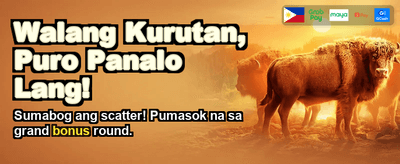 Best Casino Experience PH banner